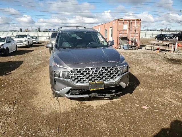 2021 Hyundai Santa Fe Limited VIN: KM8S5DA12MU009995 Lot: 75849194