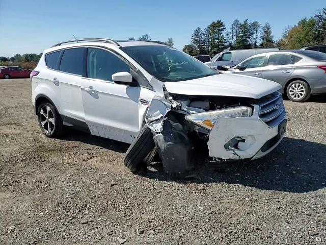 2017 Ford Escape Se VIN: 1FMCU9GD1HUF02899 Lot: 75638784