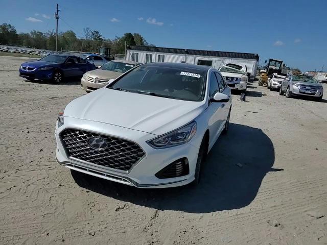 2019 Hyundai Sonata Limited VIN: 5NPE34AF5KH773205 Lot: 77411574