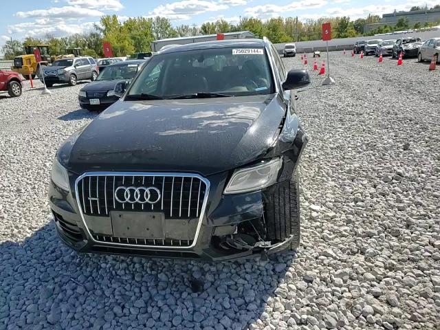 2013 Audi Q5 Premium Plus VIN: WA1LFAFP7DA007804 Lot: 75029144