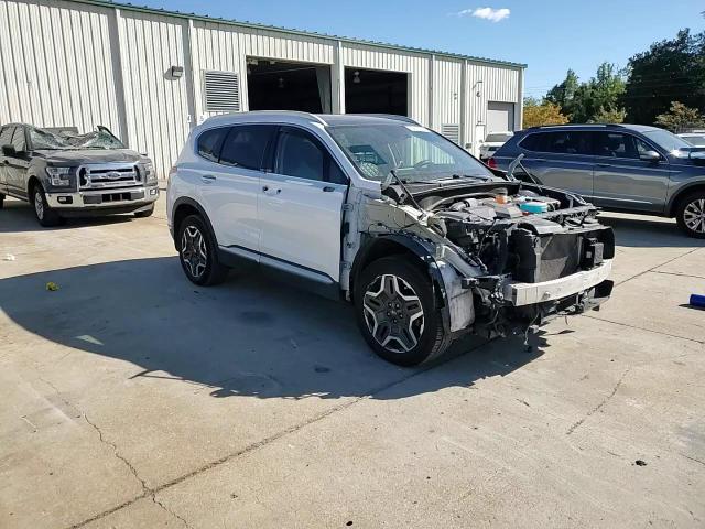 2021 Hyundai Santa Fe Sel Premium VIN: KM8S3DA16MU010198 Lot: 75877724