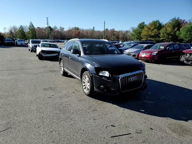 2016 Audi Q5 Premium VIN: WA1C2AFP9GA110013 Lot: 77887304