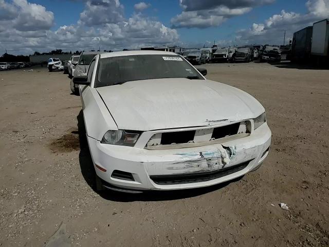 2010 Ford Mustang VIN: 1ZVBP8AN1A5169927 Lot: 77630164