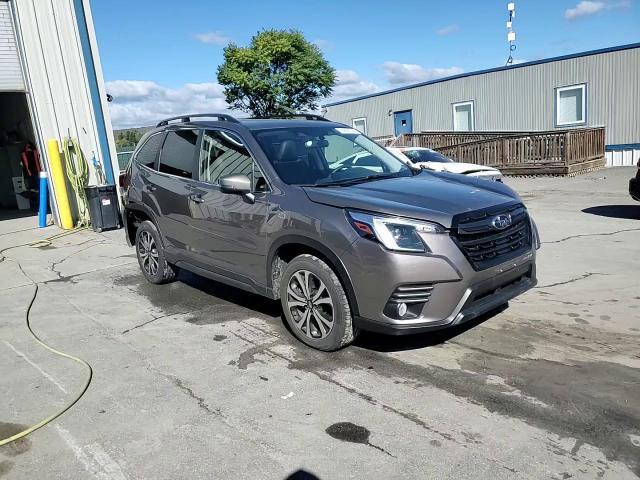 2022 Subaru Forester Limited VIN: JF2SKAPC4NH469272 Lot: 76093124