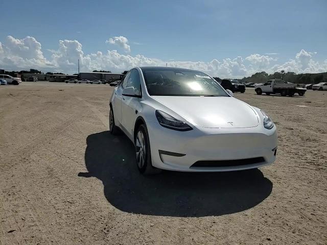 2023 Tesla Model Y VIN: 7SAYGDEE9PA124113 Lot: 73654574