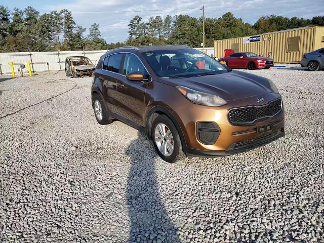 2017 Kia Sportage Lx VIN: KNDPM3AC5H7293958 Lot: 76121004