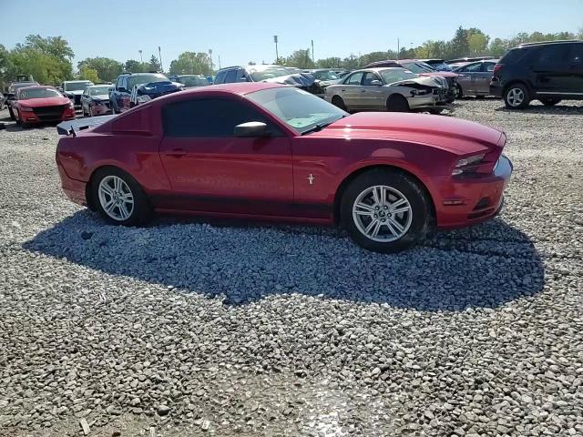 2013 Ford Mustang VIN: 1ZVBP8AM7D5238423 Lot: 74681014