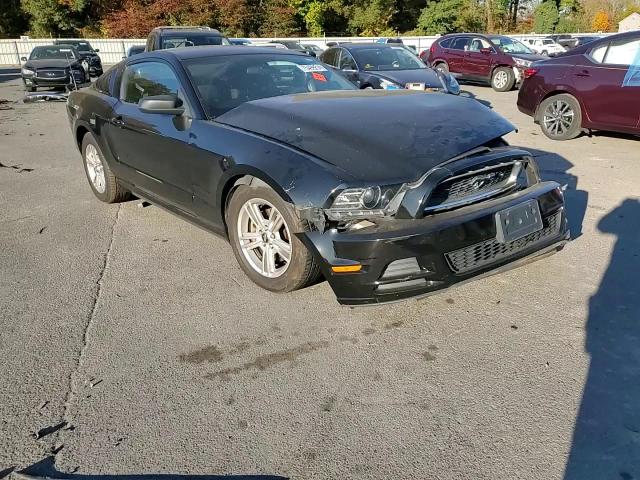 2013 Ford Mustang VIN: 1ZVBP8AM6D5240664 Lot: 75499214