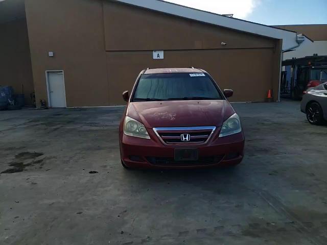 2005 Honda Odyssey Ex VIN: 5FNRL38485B410285 Lot: 77181674