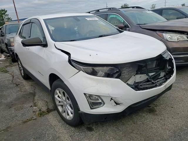 2019 Chevrolet Equinox Ls VIN: 3GNAXHEV0KS591307 Lot: 73729594