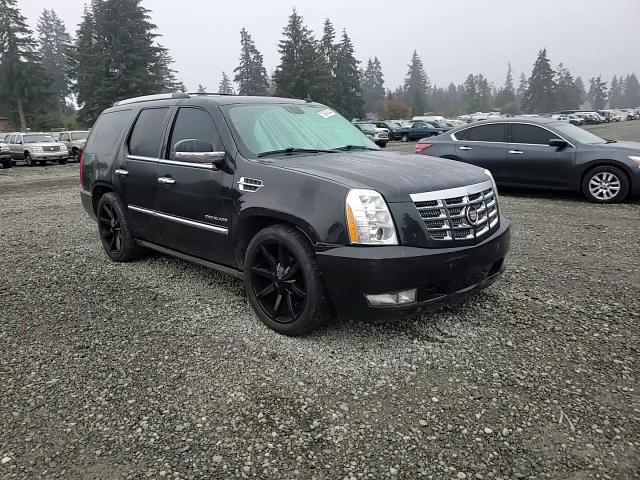 2011 Cadillac Escalade Premium VIN: 1GYS4CEF5BR155924 Lot: 76948444