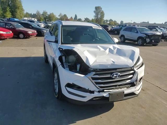 2017 Hyundai Tucson Limited VIN: KM8J3CA47HU313755 Lot: 74759104