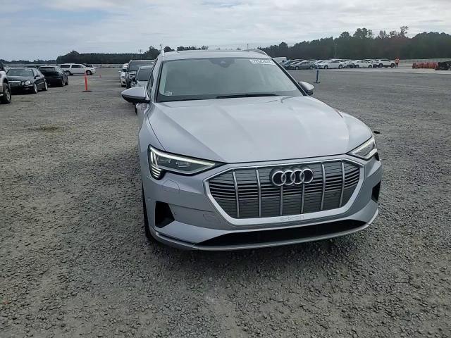 2019 Audi E-Tron Premium Plus VIN: WA1LAAGE8KB010276 Lot: 77042444