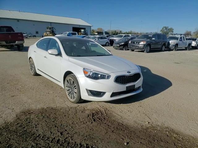 2014 Kia Cadenza Premium VIN: KNALN4D73E5166548 Lot: 77431574