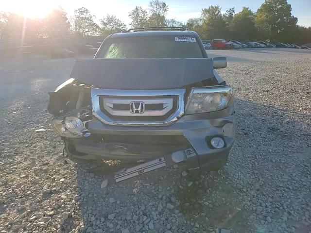 2009 Honda Pilot Touring VIN: 5FNYF38909B025842 Lot: 76809824