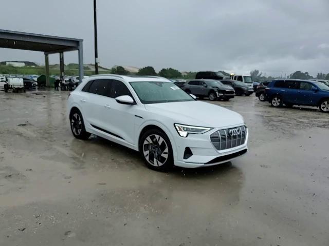 2022 Audi E-Tron Premium Plus VIN: WA1LAAGE0NB031580 Lot: 72888554