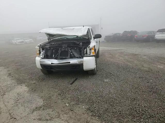 2009 Chevrolet Silverado K1500 VIN: 2GCEK19C291133637 Lot: 74618574