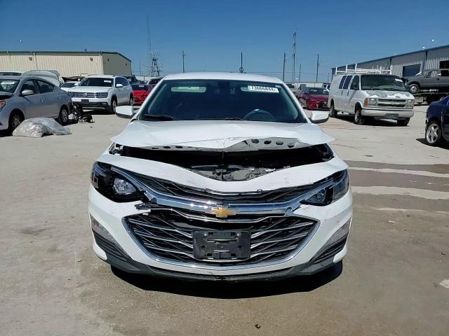 2019 Chevrolet Malibu Lt VIN: 1G1ZD5ST7KF117163 Lot: 73666844