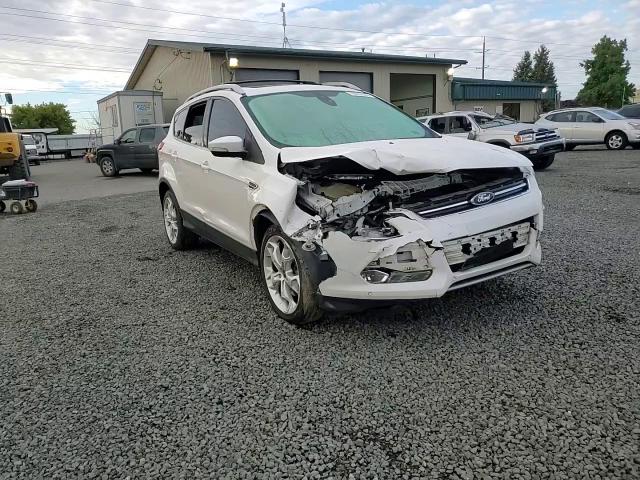 2014 Ford Escape Titanium VIN: 1FMCU9J99EUB16568 Lot: 76493784