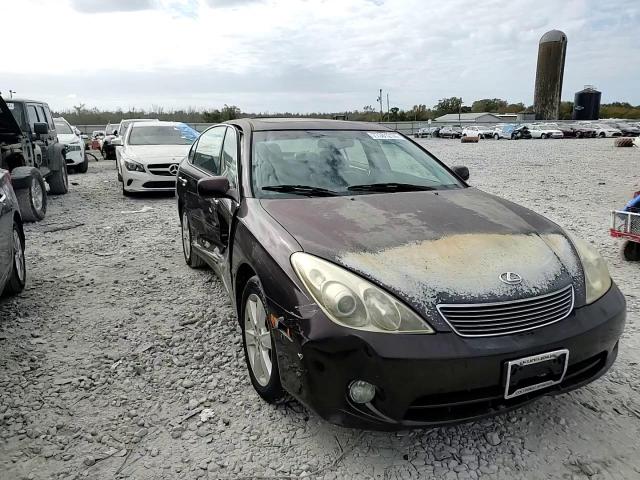 2006 Lexus Es 330 VIN: JTHBA30G265165840 Lot: 77381214