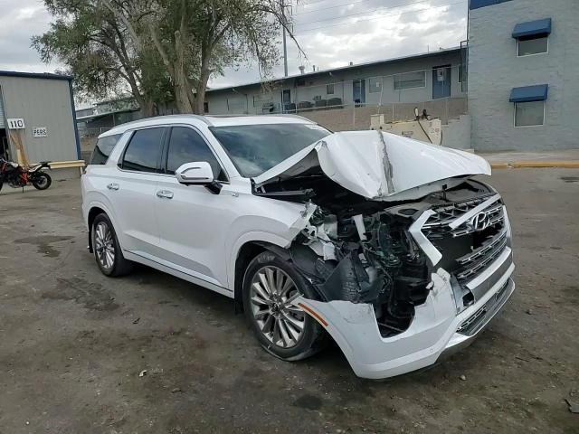 2020 Hyundai Palisade Limited VIN: KM8R5DHE5LU117176 Lot: 75949604