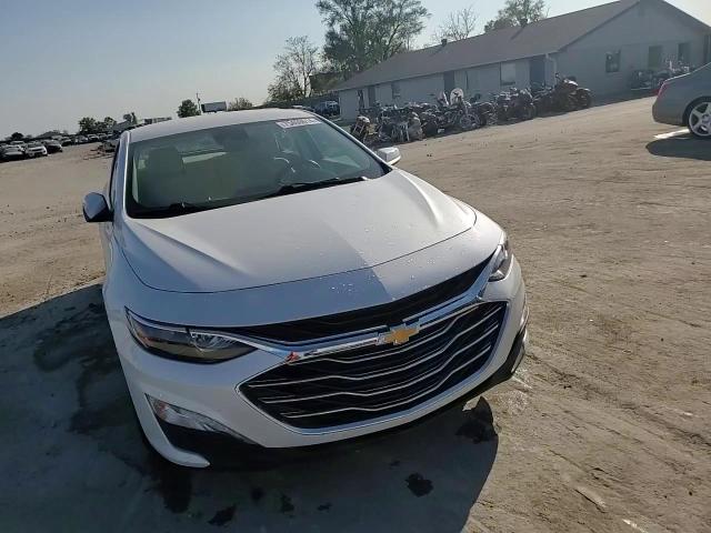 2019 Chevrolet Malibu Lt VIN: 1G1ZD5ST5KF176910 Lot: 75400614