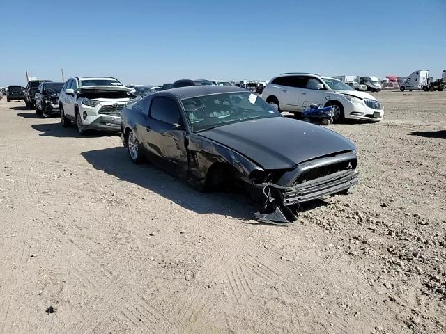 2013 Ford Mustang VIN: 1ZVBP8AM4D5274666 Lot: 74381134