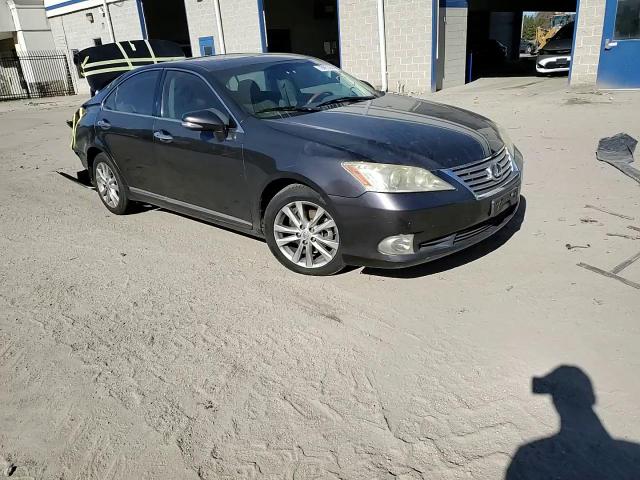 2010 Lexus Es 350 VIN: JTHBK1EG9A2362119 Lot: 78653944