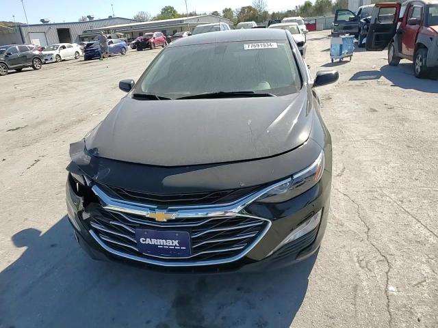 2019 Chevrolet Malibu Lt VIN: 1G1ZD5ST1KF160588 Lot: 77691934