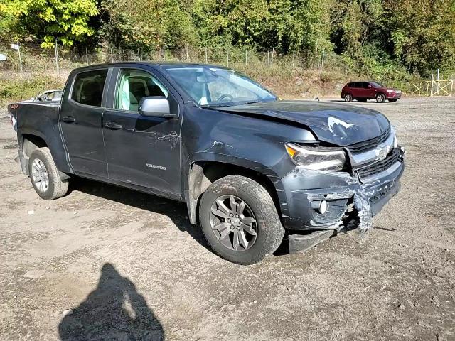 2019 Chevrolet Colorado Lt VIN: 1GCGTCEN7K1118166 Lot: 73881294