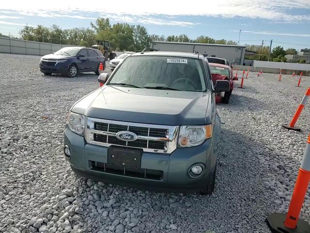 2011 Ford Escape Xlt VIN: 1FMCU0DG3BKC61196 Lot: 74920814