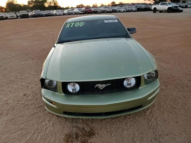 2006 Ford Mustang Gt VIN: 1ZVFT82H765165135 Lot: 75311234