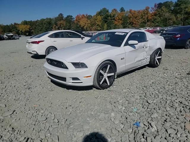 2014 Ford Mustang Gt VIN: 1ZVBP8CF8E5218729 Lot: 77247194