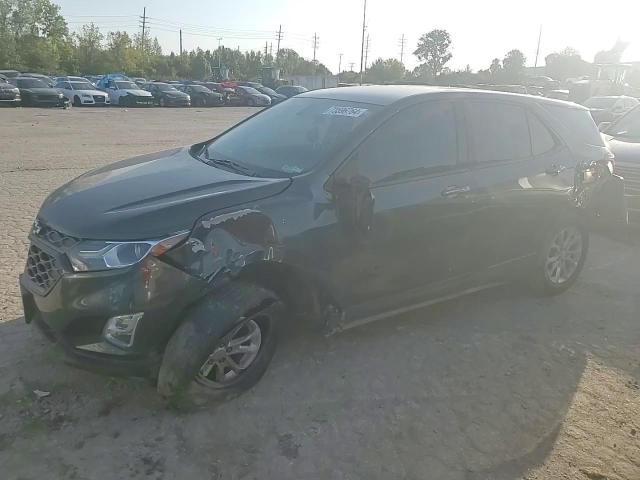 2019 Chevrolet Equinox Ls VIN: 3GNAXHEV1KS529091 Lot: 73596764