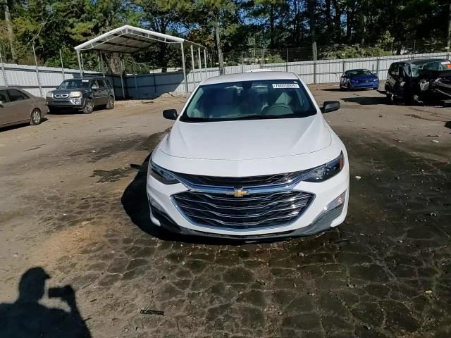 2019 Chevrolet Malibu Ls VIN: 1G1ZC5ST6KF106318 Lot: 76055864