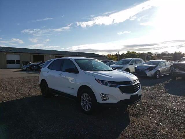 2019 Chevrolet Equinox Ls VIN: 2GNAXSEV2K6212237 Lot: 74090364