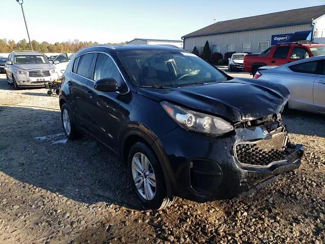 2019 Kia Sportage Lx VIN: KNDPM3AC1K7524300 Lot: 76818984