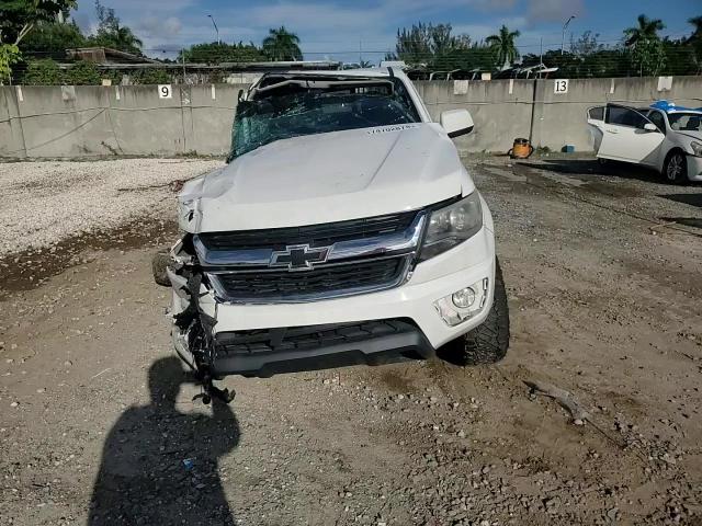 2017 Chevrolet Colorado Lt VIN: 1GCGSCEN1H1196020 Lot: 74702874