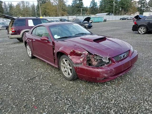 2004 Ford Mustang Gt VIN: 1FAFP42X64F156088 Lot: 78060954