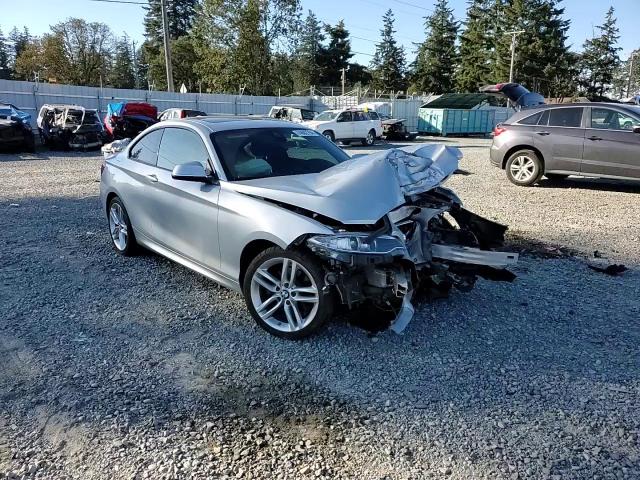 2016 BMW 228 Xi Sulev VIN: WBA1G9C55GV726863 Lot: 74602794