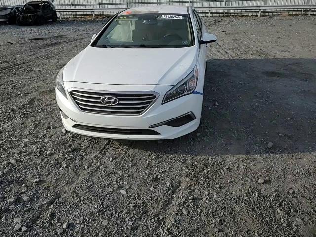 2016 Hyundai Sonata Se VIN: 5NPE24AF3GH354537 Lot: 78430254