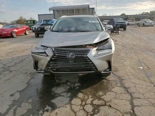 2020 Lexus Nx 300 VIN: JTJGARDZ0L2220768 Lot: 78071024