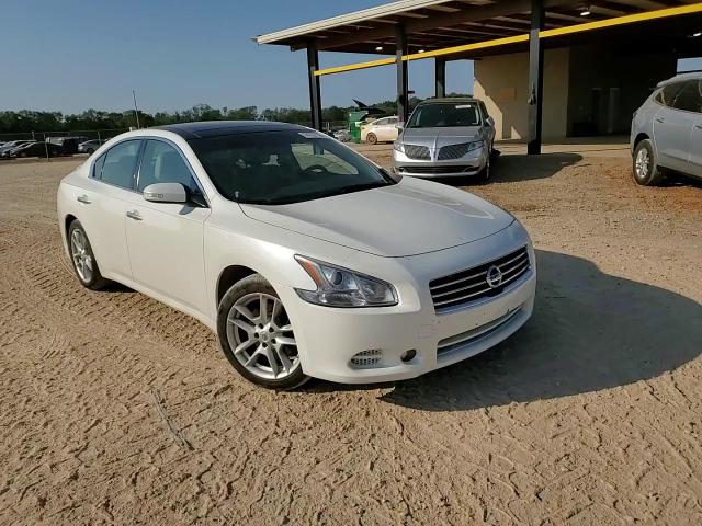 2010 Nissan Maxima S VIN: 1N4AA5AP5AC869029 Lot: 74737194