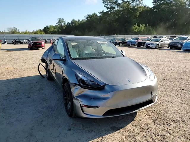 2024 Tesla Model Y VIN: 7SAYGDEFXRA307516 Lot: 73706464