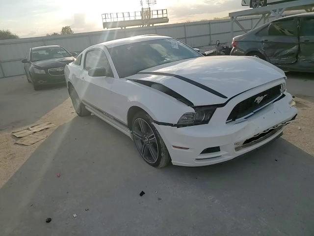 2013 Ford Mustang VIN: 1ZVBP8AM0D5261123 Lot: 77104224