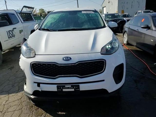 2019 Kia Sportage Lx VIN: KNDPM3AC0K7491824 Lot: 77963344