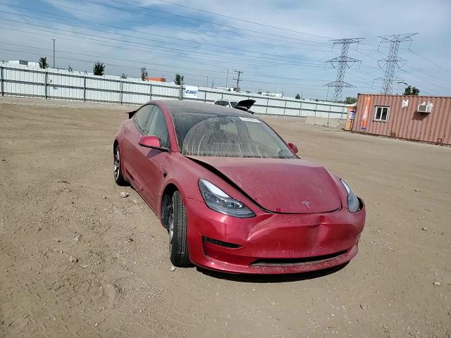 2023 Tesla Model 3 VIN: 5YJ3E1EA9PF455608 Lot: 81806405