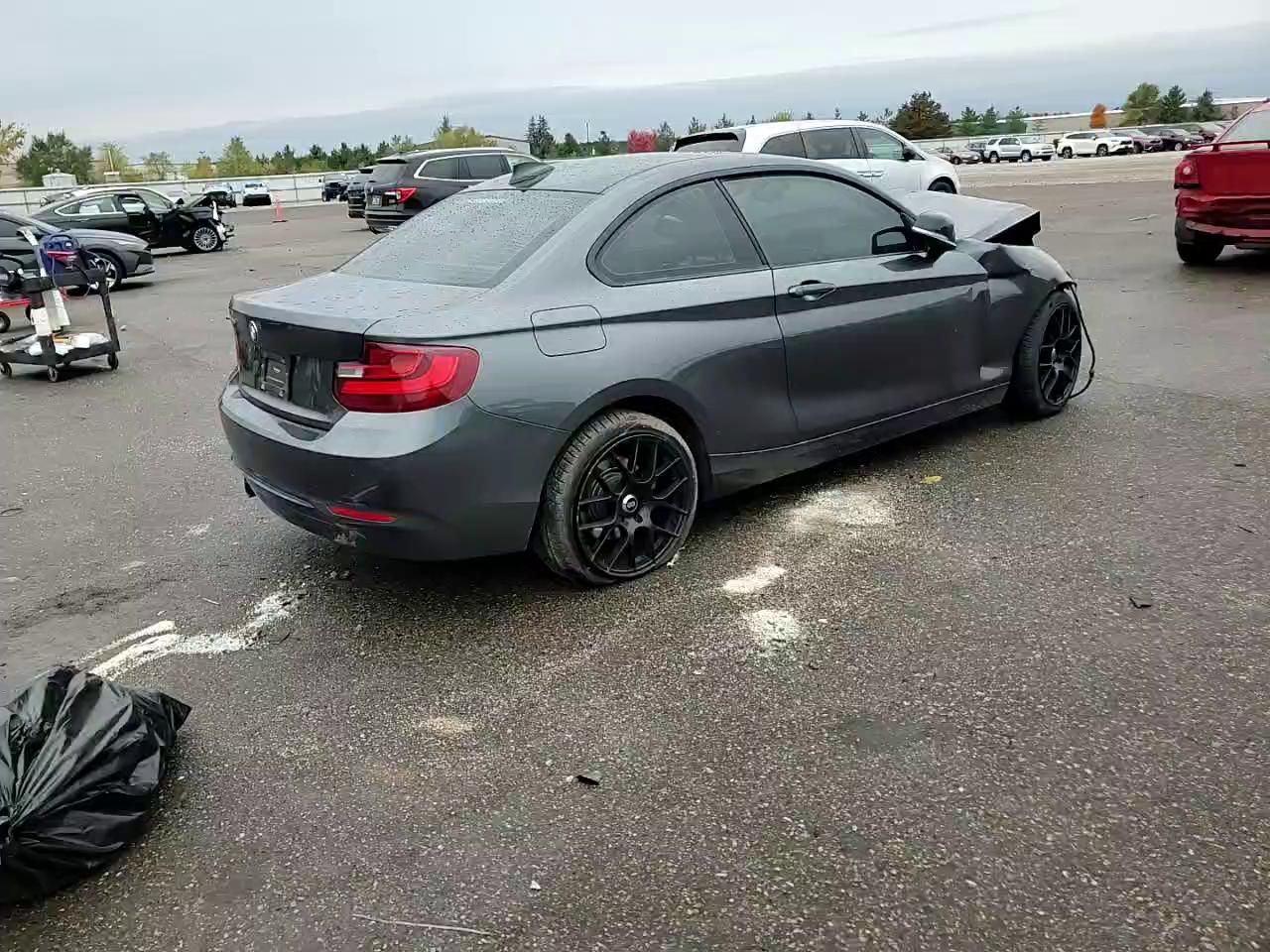 Фото: WBA1G9C55GV599693