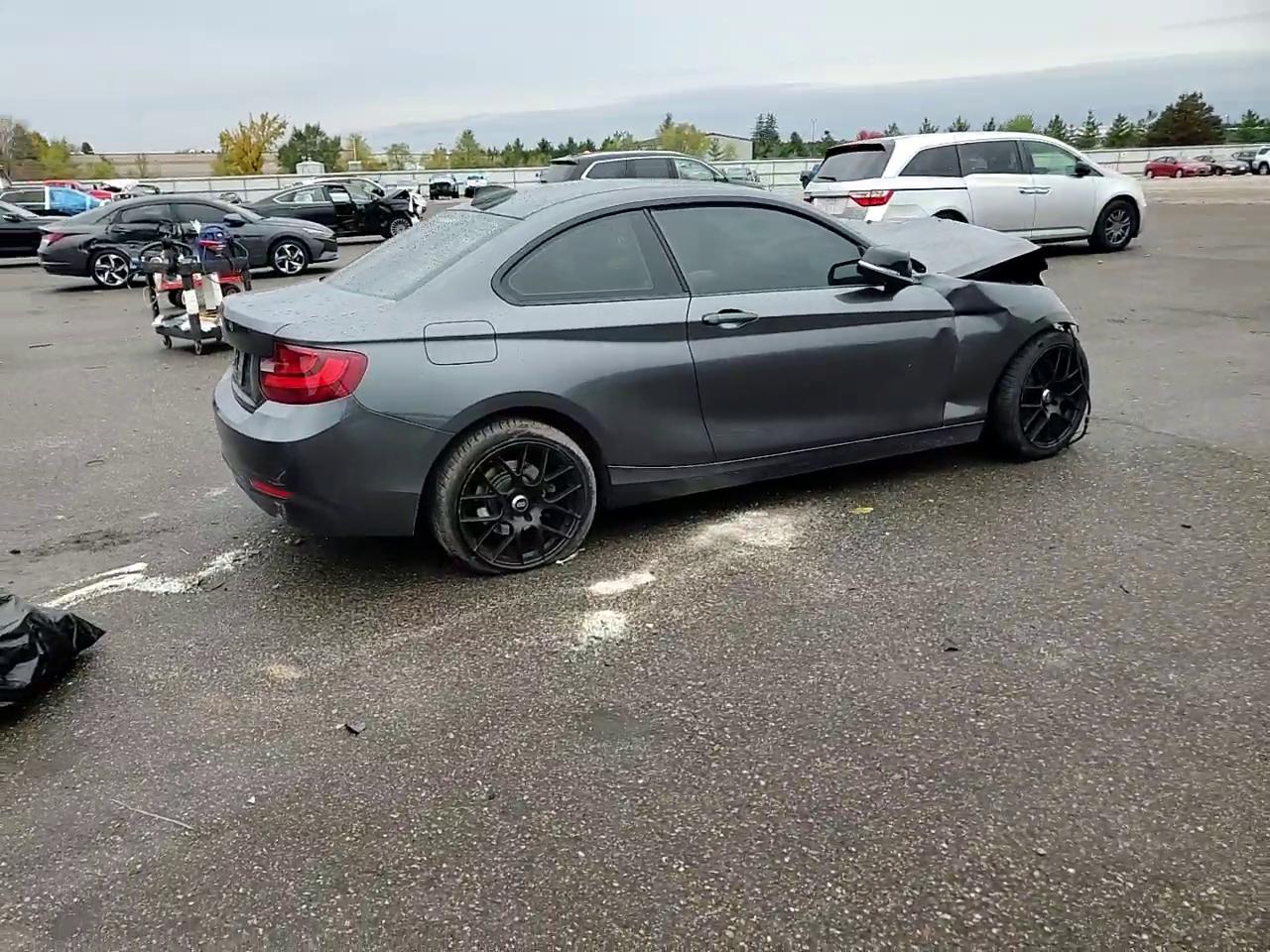 Фото: WBA1G9C55GV599693