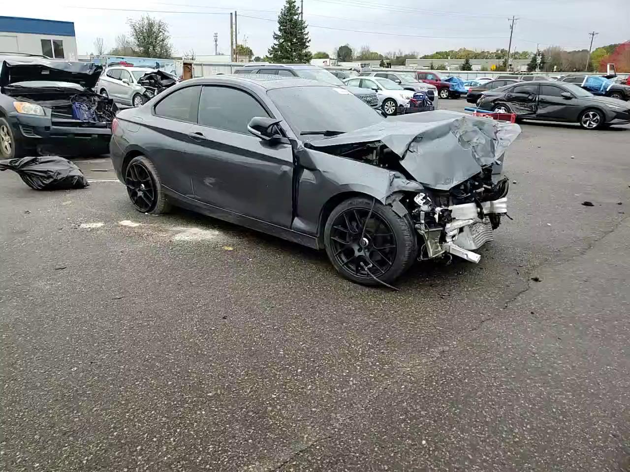 Фото: WBA1G9C55GV599693